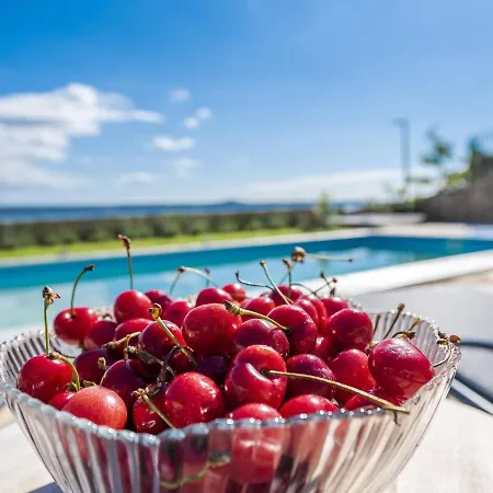 Modern In With Swimming Pool * Maslenica